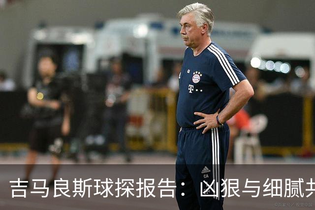 吉马良斯球探报告：凶狠与细腻共存，阿森纳这7500万花的太值